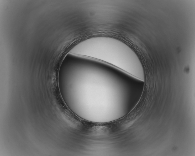 X0000090860748200707270933
