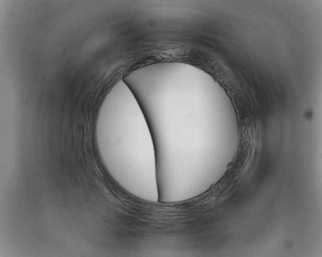 X0000090860749200707270933