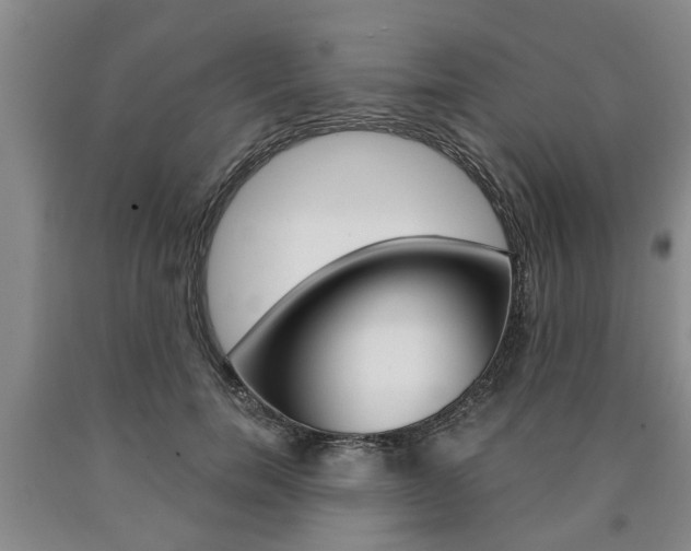 X0000090860750200707270933