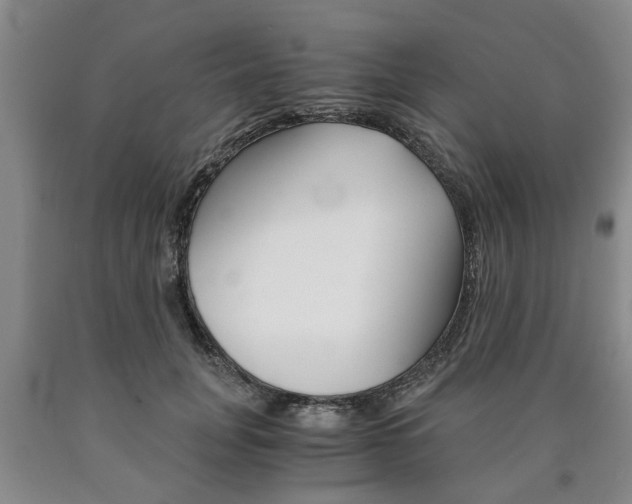 X0000090860751200707270933