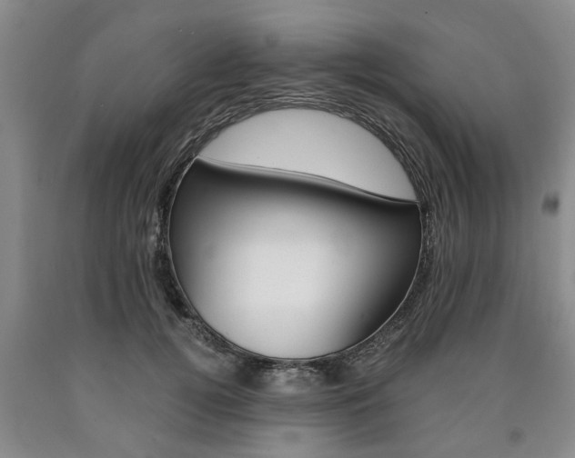 X0000090860752200707270933