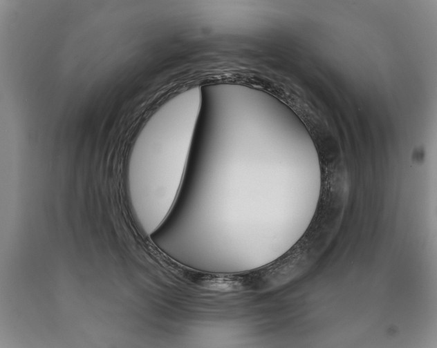 X0000090860754200707270933