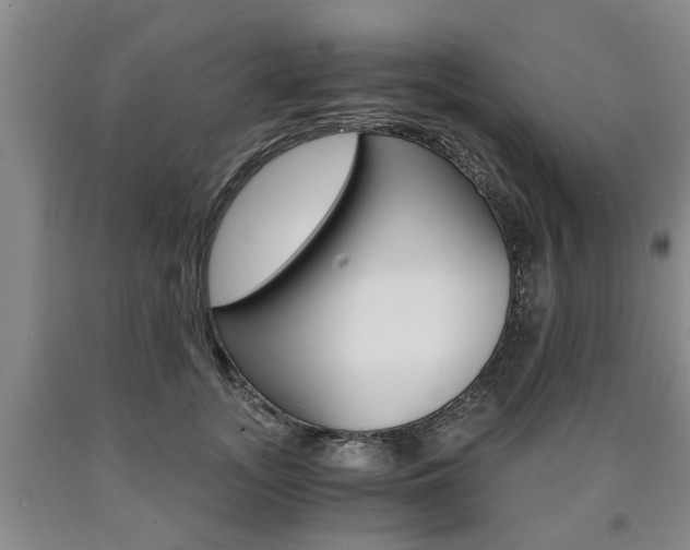 X0000090860755200707270933