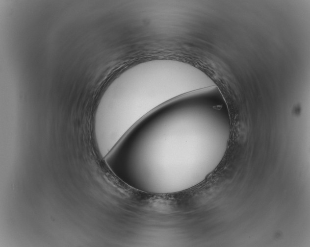 X0000090860756200707270933