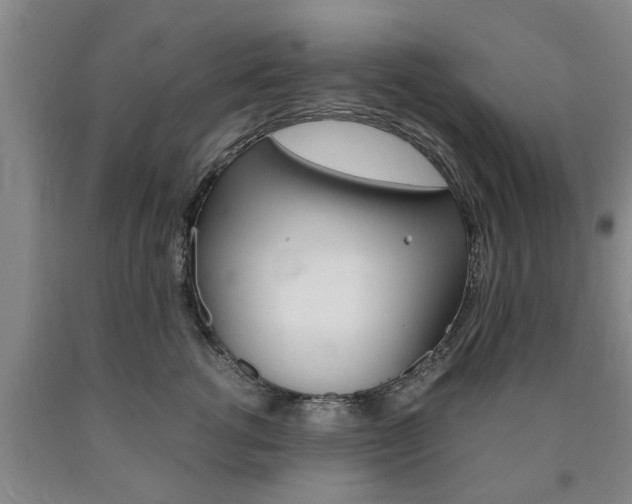 X0000090860762200707270933