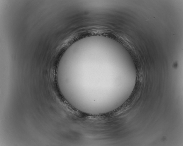 X0000090860763200707270933