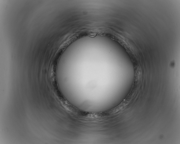 X0000090860764200707270933