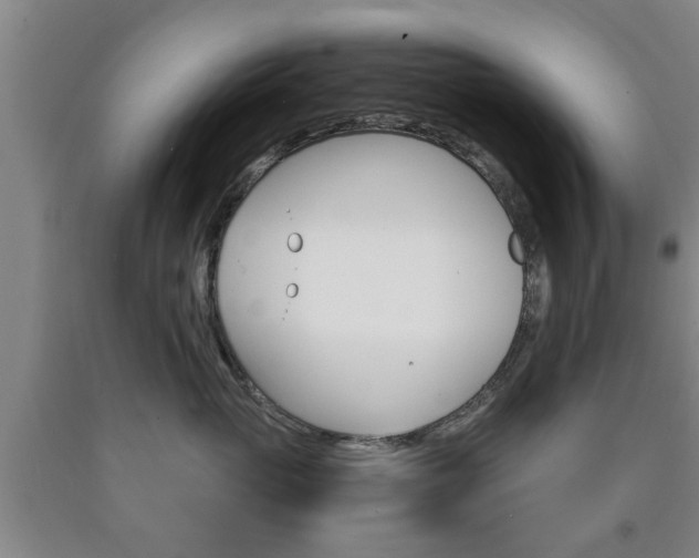 X0000090860765200707270933
