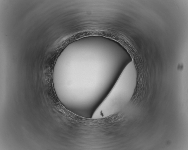 X0000090860773200707270933