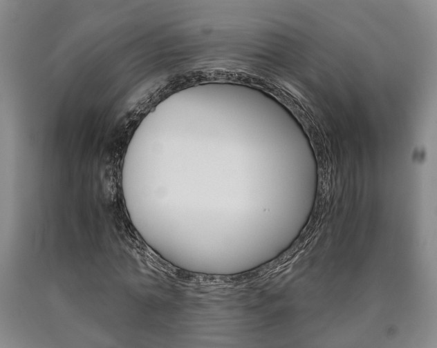 X0000090860774200707270933