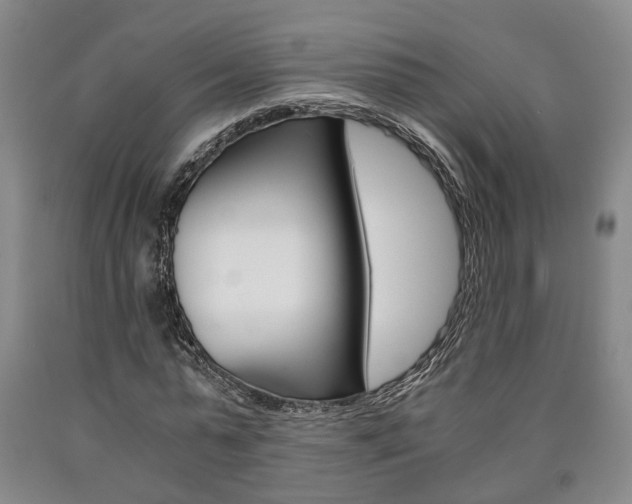 X0000090860775200707270933