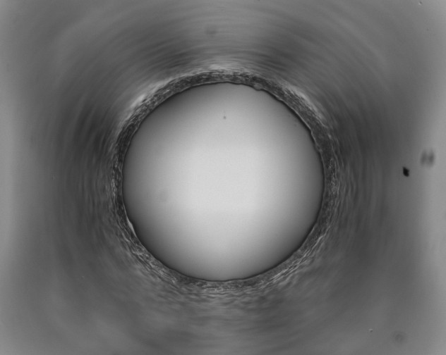 X0000090860776200707270933