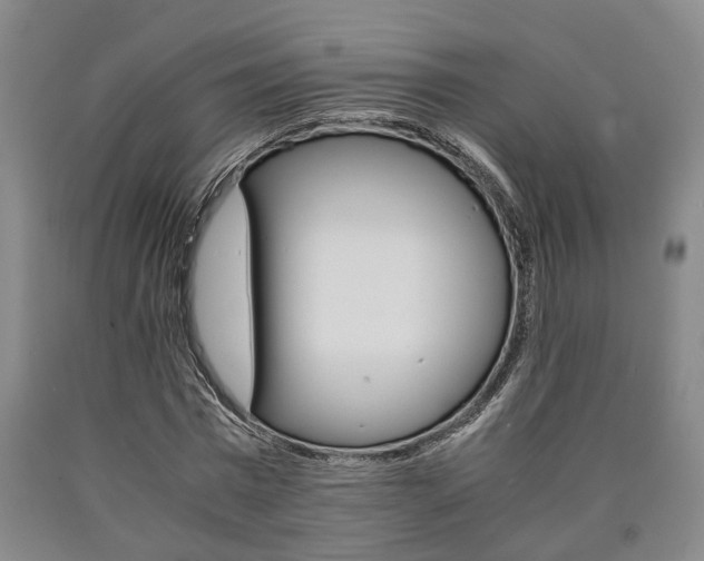 X0000090860777200707270933