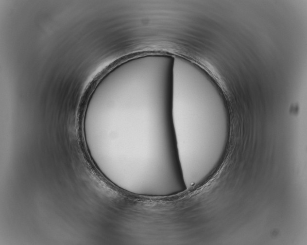 X0000090860780200707270933