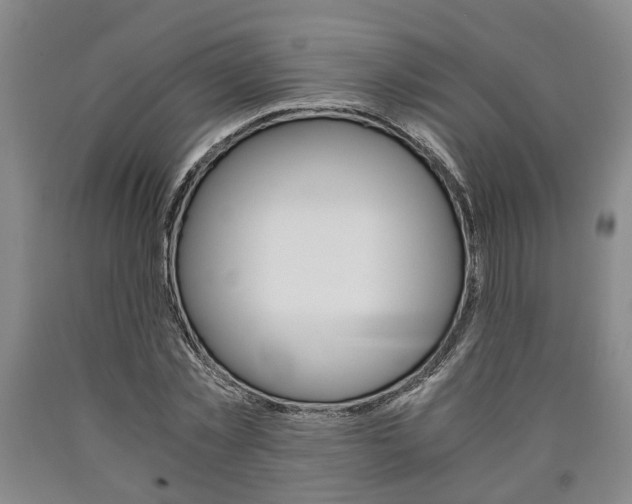 X0000090860781200707270932
