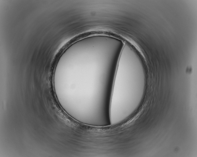 X0000090860783200707270932