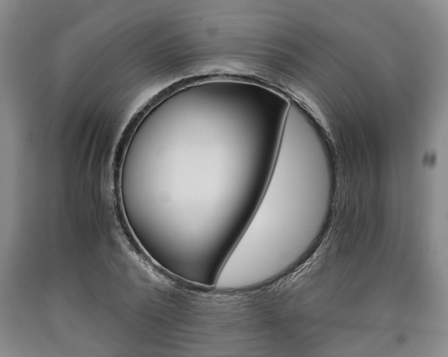 X0000090860784200707270932