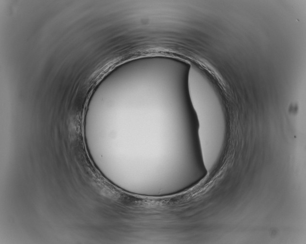 X0000090860785200707270932