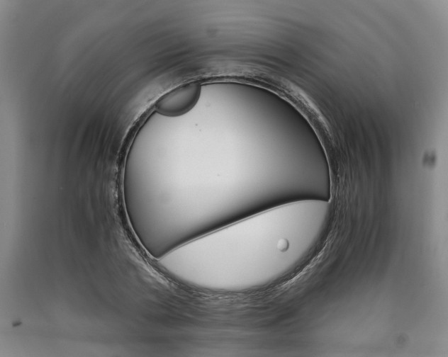 X0000090860786200707270932