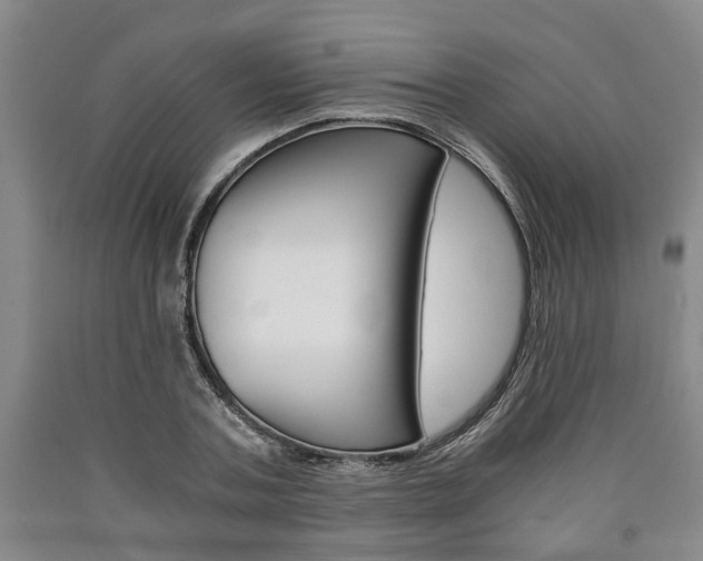 X0000090860787200707270932