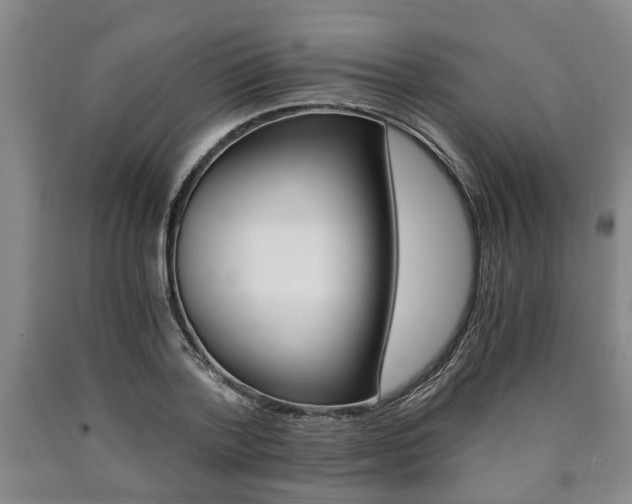 X0000090860788200707270932