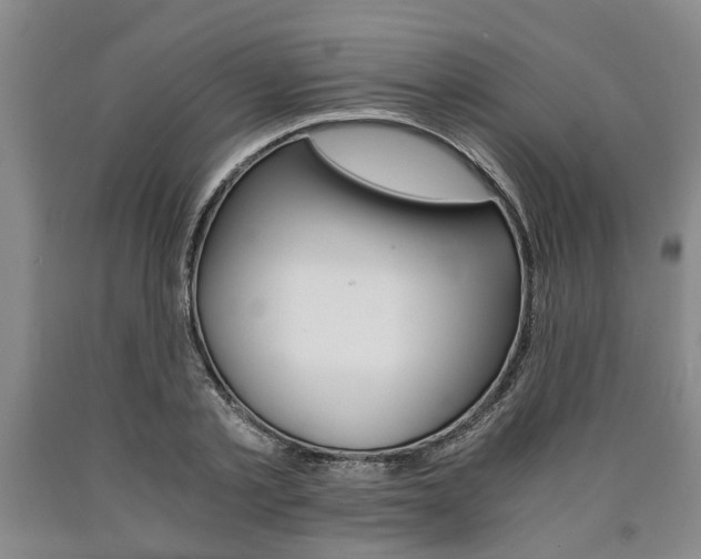 X0000090860789200707270932