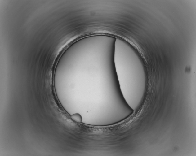 X0000090860790200707270932
