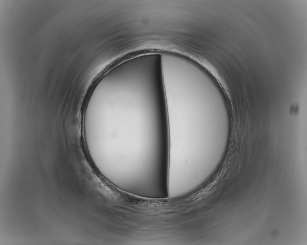 X0000090860791200707270932