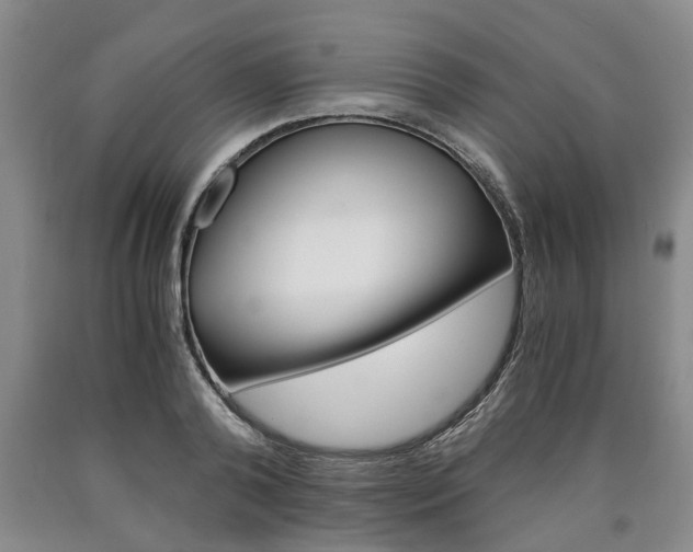 X0000090860792200707270932