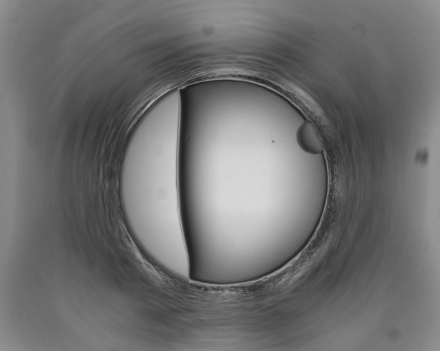 X0000090860793200707270932