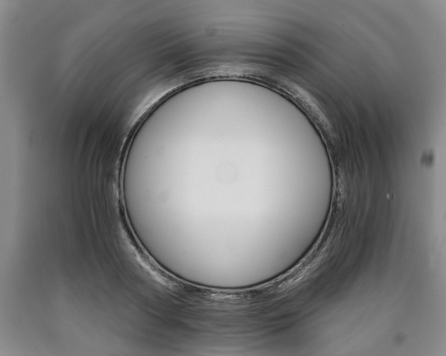 X0000090860794200707270932