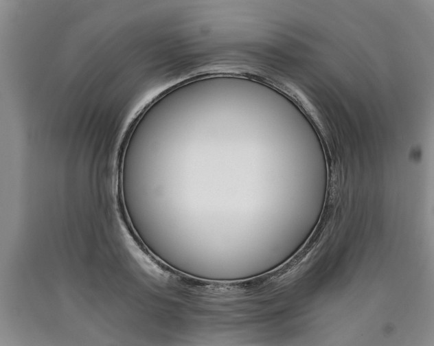 X0000090860795200707270932