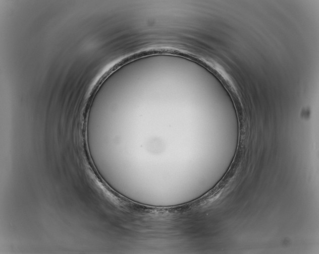 X0000090860799200707270932
