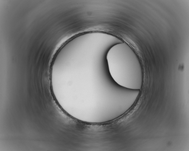 X0000090860800200707270932