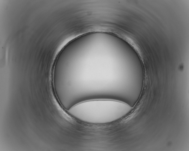 X0000090860803200707270932