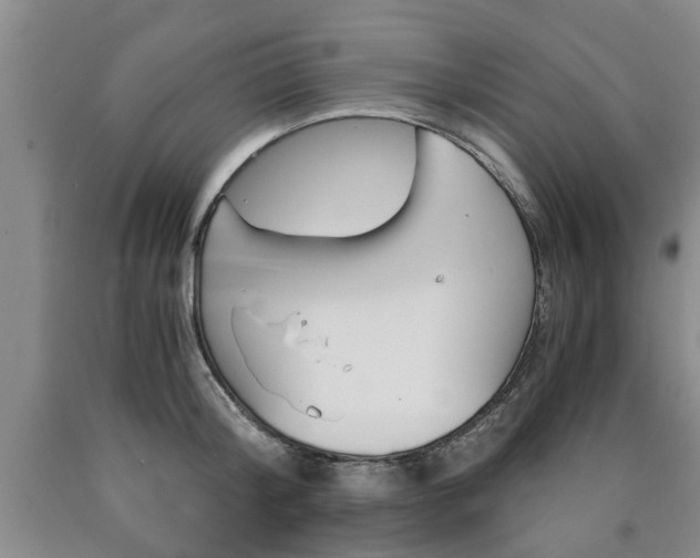 X0000090860804200707270932