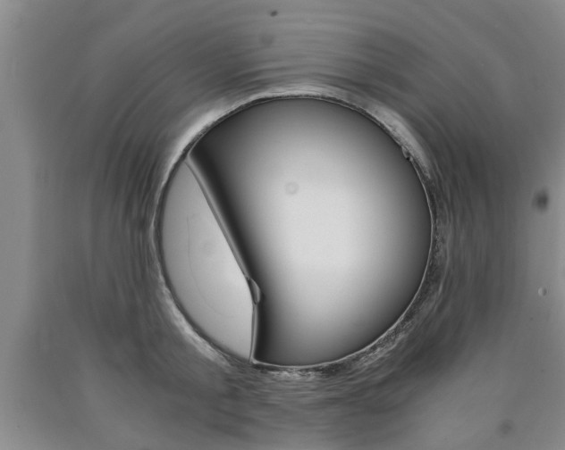 X0000090860805200707270932