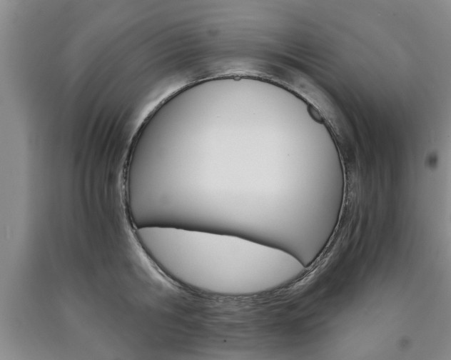 X0000090860806200707270932