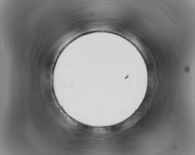 X0000090860807200707270932