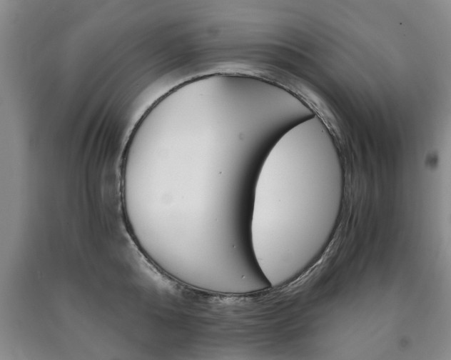 X0000090860808200707270932