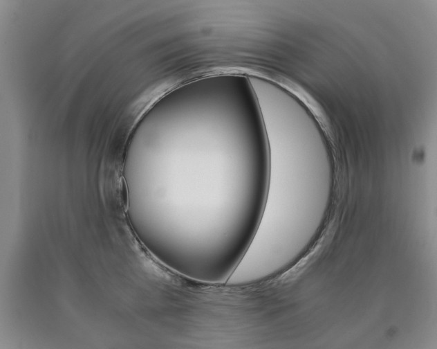 X0000090860809200707270932