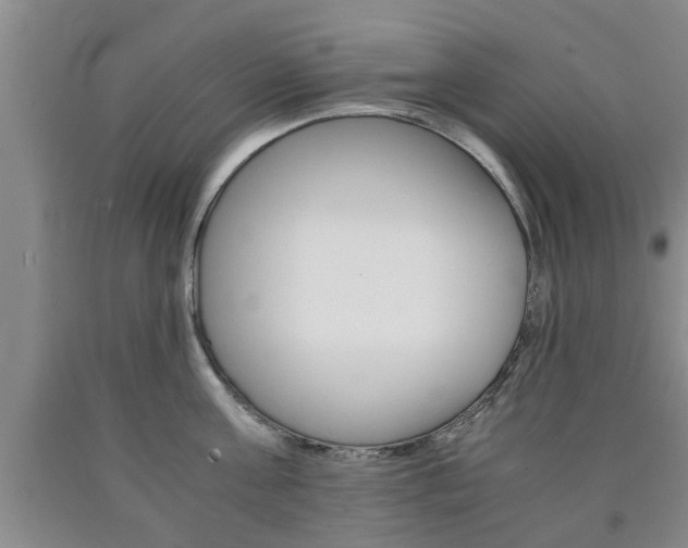 X0000090860811200707270932