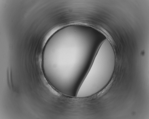 X0000090860812200707270932