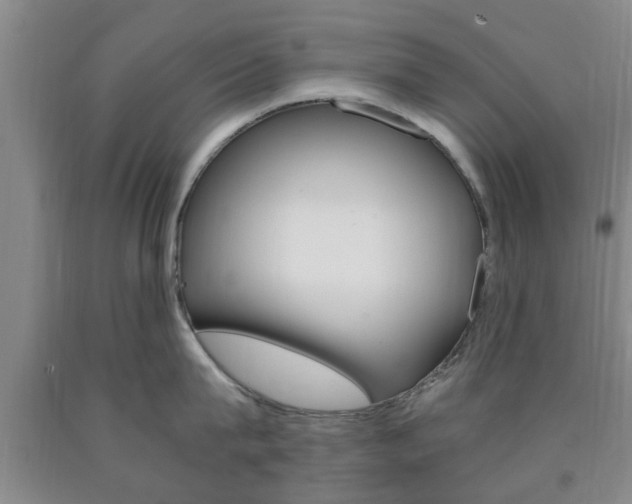 X0000090860815200707270932