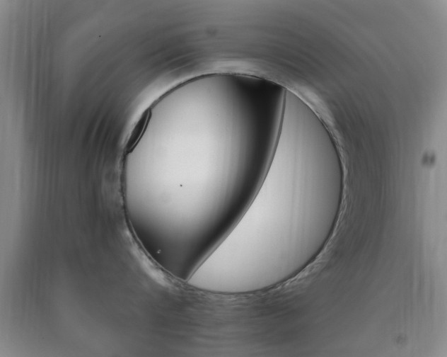 X0000090860816200707270932