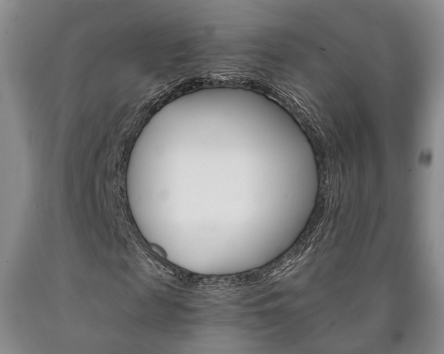 X0000090860817200707270931
