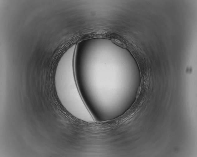 X0000090860818200707270931