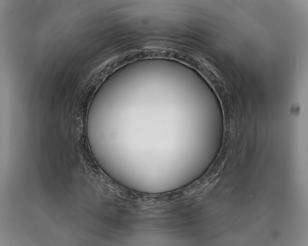 X0000090860821200707270931