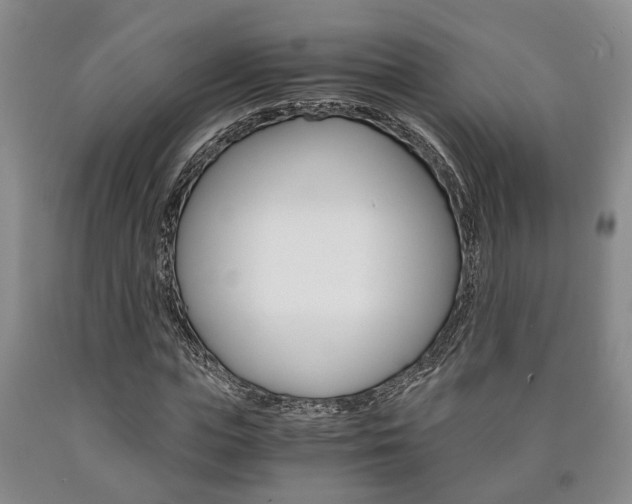 X0000090860823200707270931