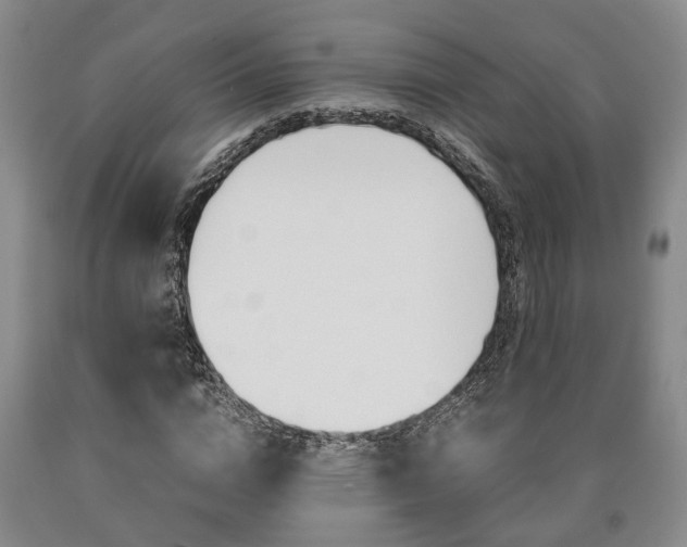 X0000090860824200707270931